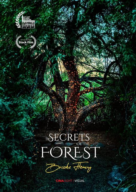 Secrets Of The Forest Betano
